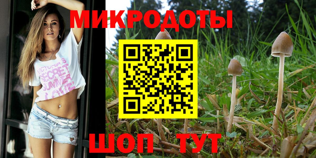 Псилоцибиновые грибы прущие грибы Краснодар