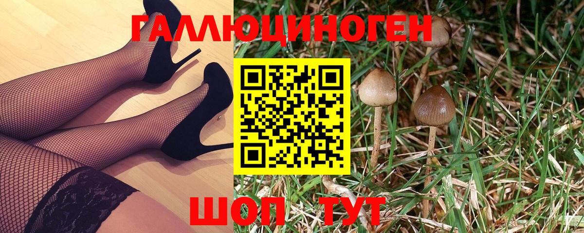 Краснодар  Псилоцибиновые грибы мухоморы  где продают   Вход с VPN 