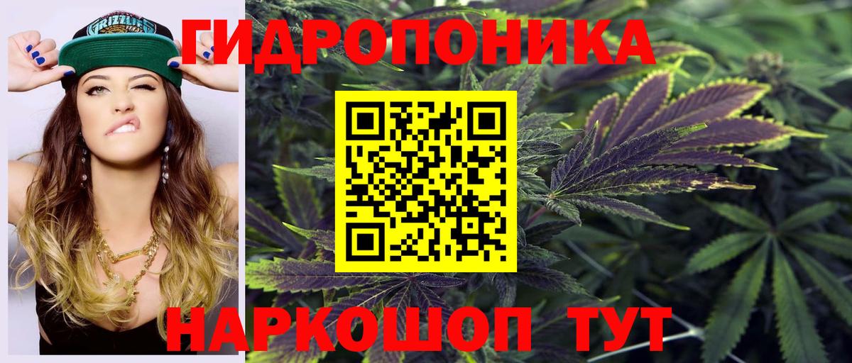 Бошки Шишки THC 21%  Вход с VPN  Краснодар  Бошки марихуана тримм  Канабис гибрид 
